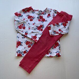 Floral Top & Leggings Size 3T